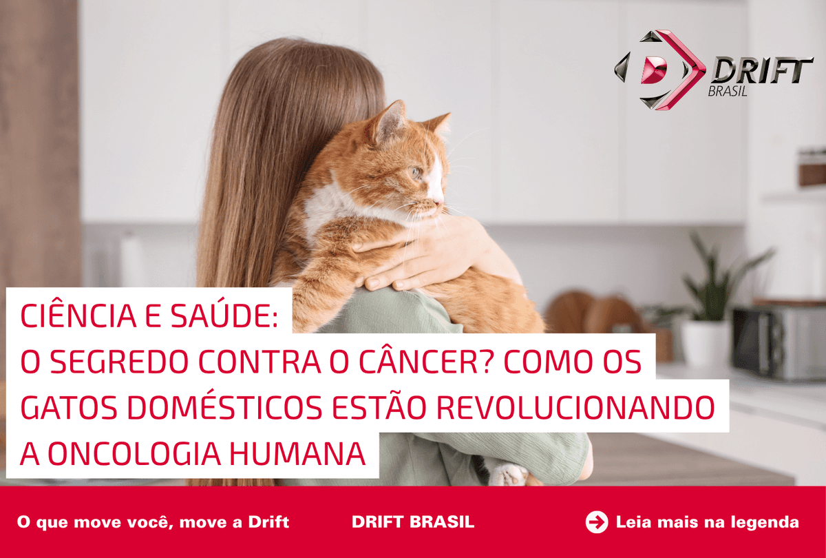 O segredo contra o câncer? Como os gatos domésticos estão revolucionando a oncologia humana