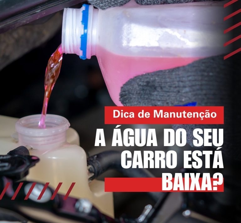 428601838_829580675878049_4170505526504804719_n