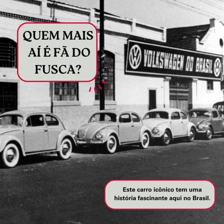 420519209_807826924720091_3437053869932305726_n